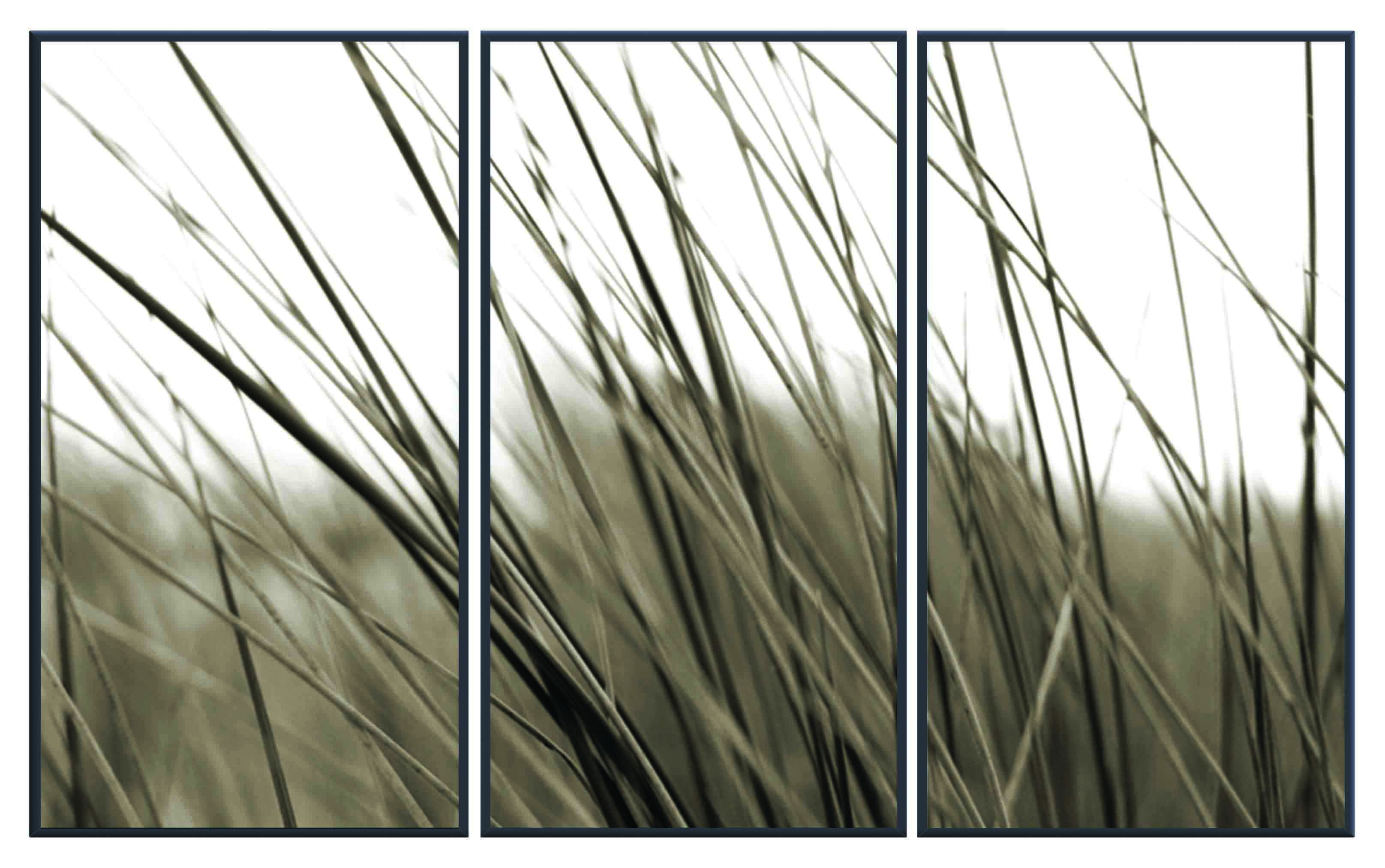 ASG415 Wall décor art printed on glass B&W botanical set of 3